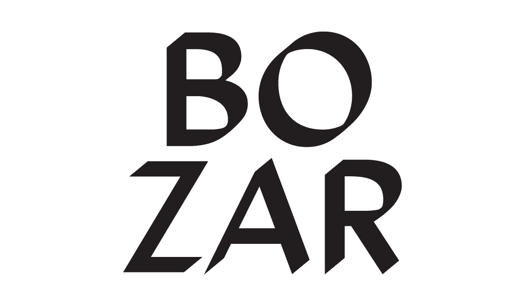 JOBSTUDENT – BOZAR